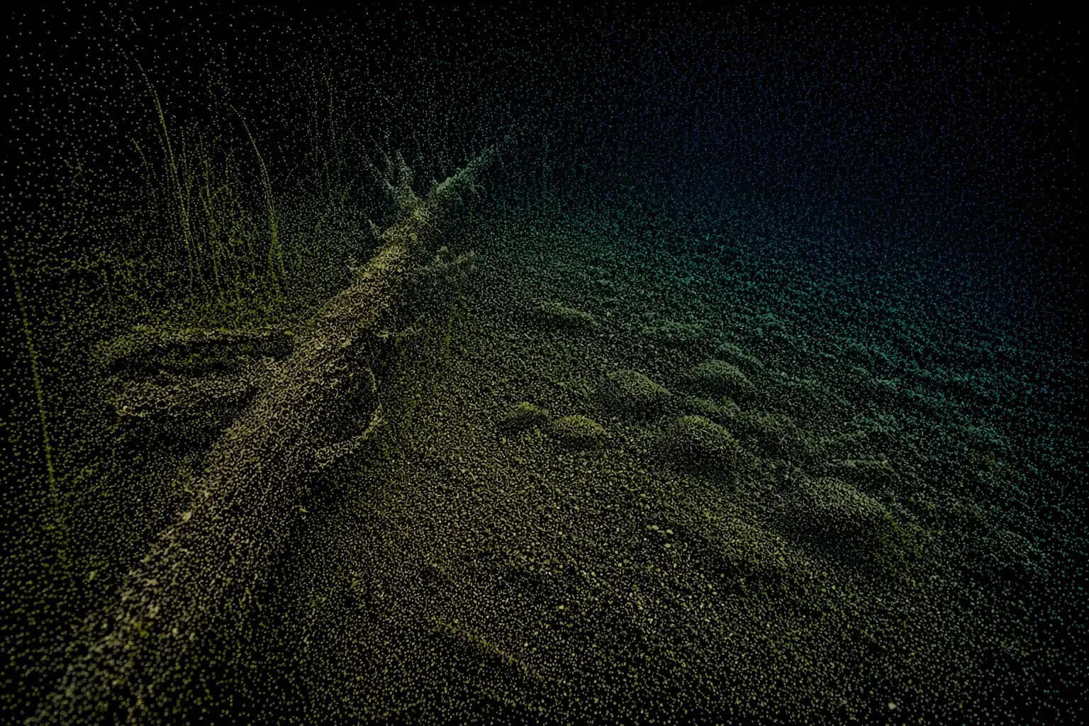 Sonar point cloud showing underwater terrain